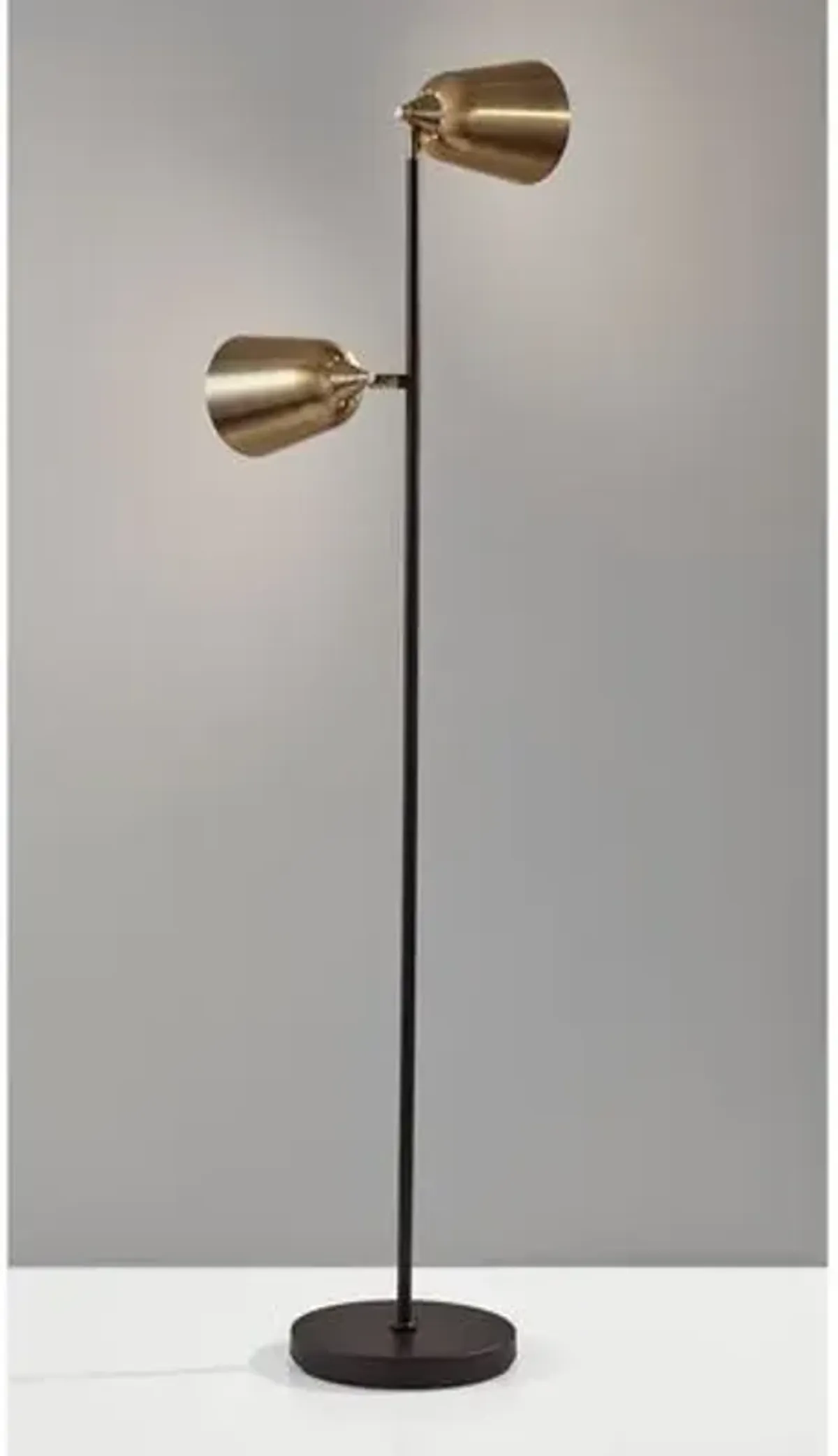 Ryker Floor Lamp - Black/Antique Brass