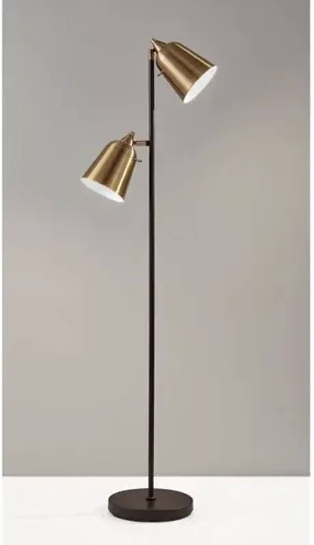 Ryker Floor Lamp - Black/Antique Brass