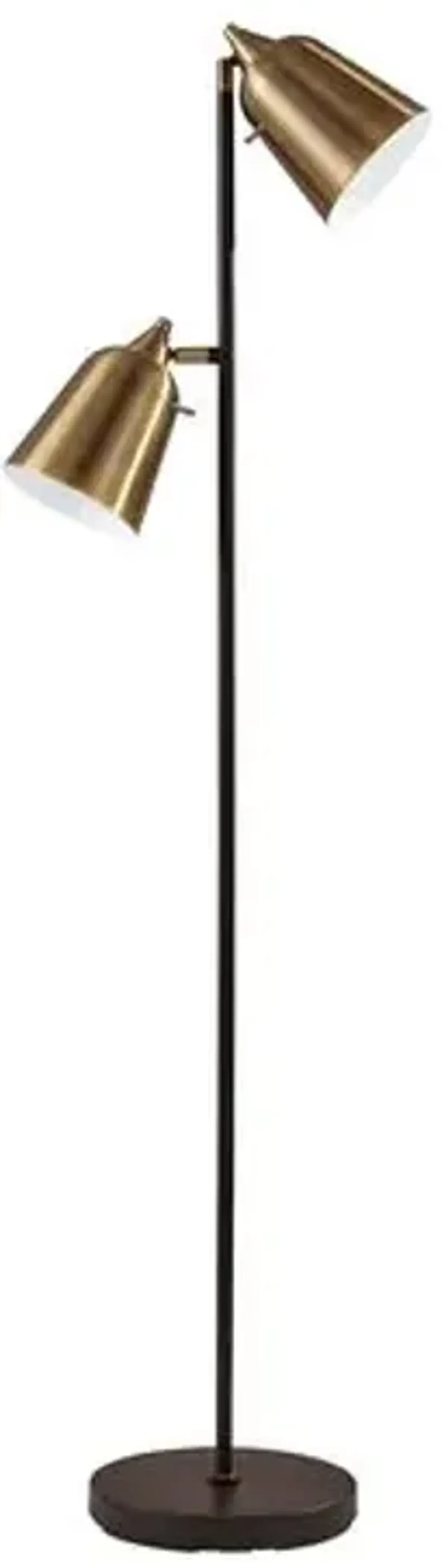 Ryker Floor Lamp - Black/Antique Brass