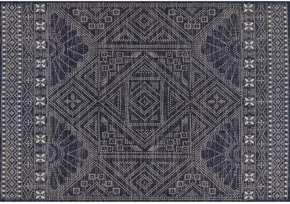 Samson Outdoor Rug - Blue - Blue