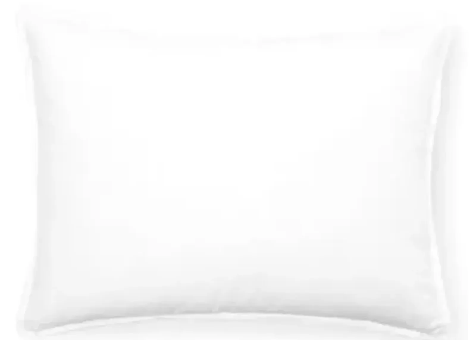 Soft Boudoir European Soft DownPillow - Belle Epoque