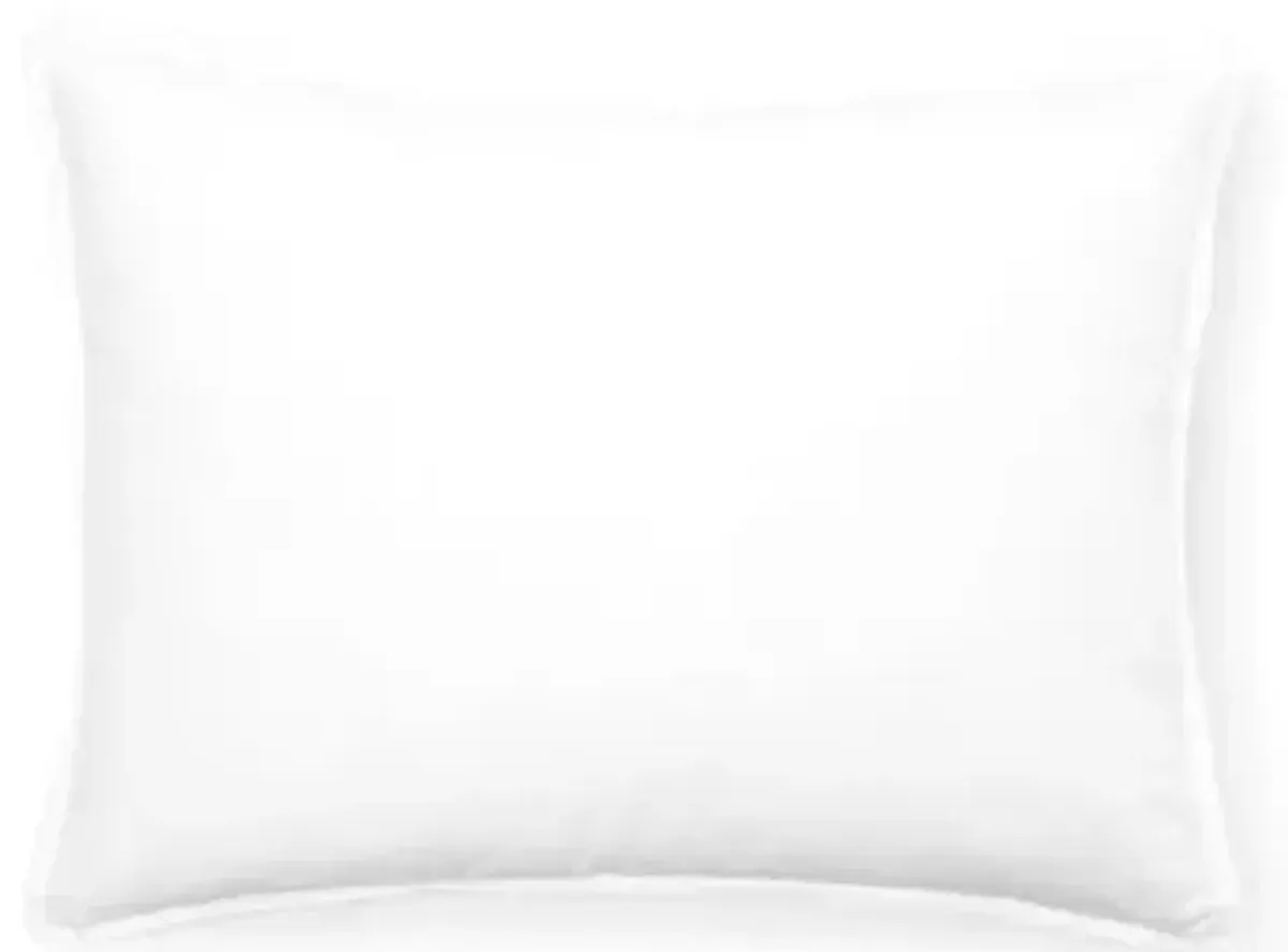 Soft Boudoir European Soft DownPillow - Belle Epoque