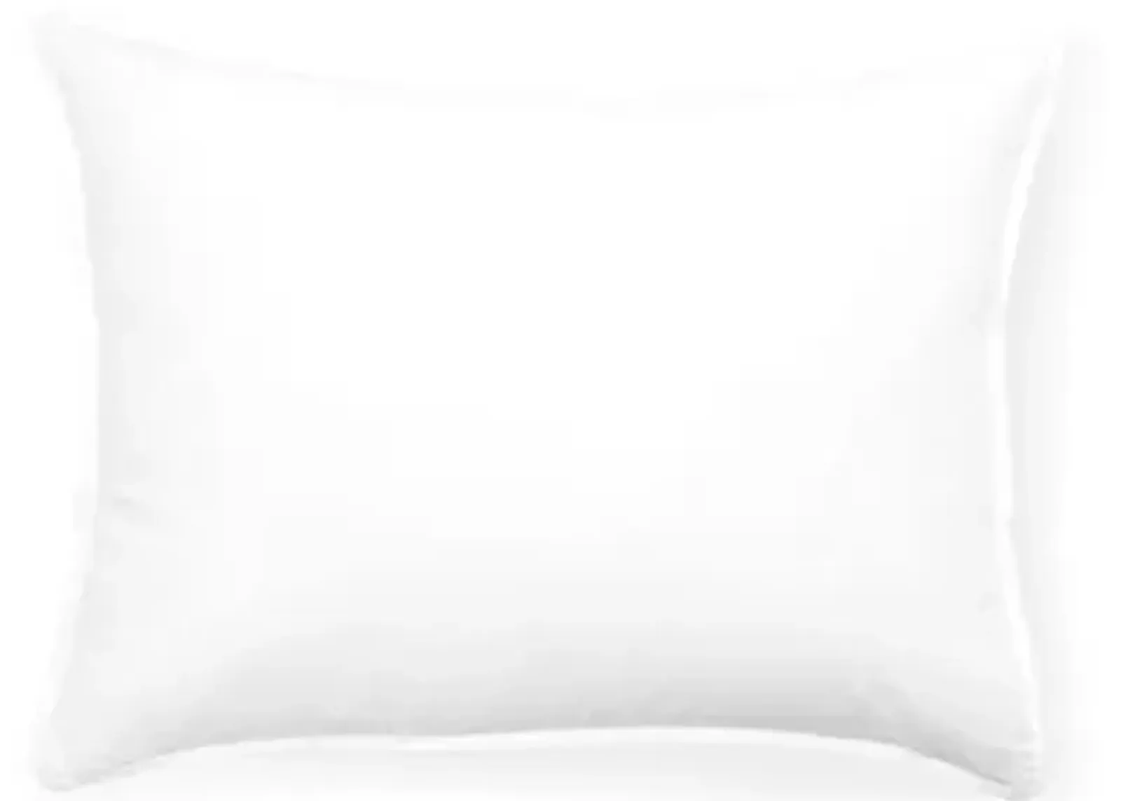 Firm Boudoir European Medium Down Pillow - Belle Epoque