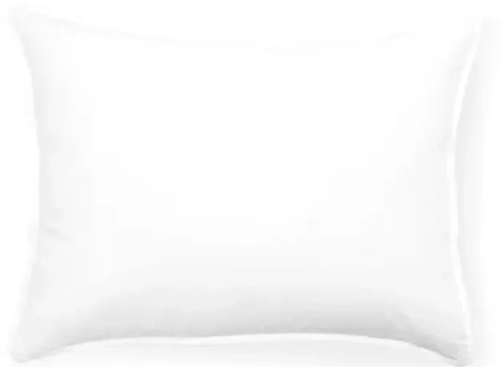 Firm Boudoir European Medium Down Pillow - Belle Epoque