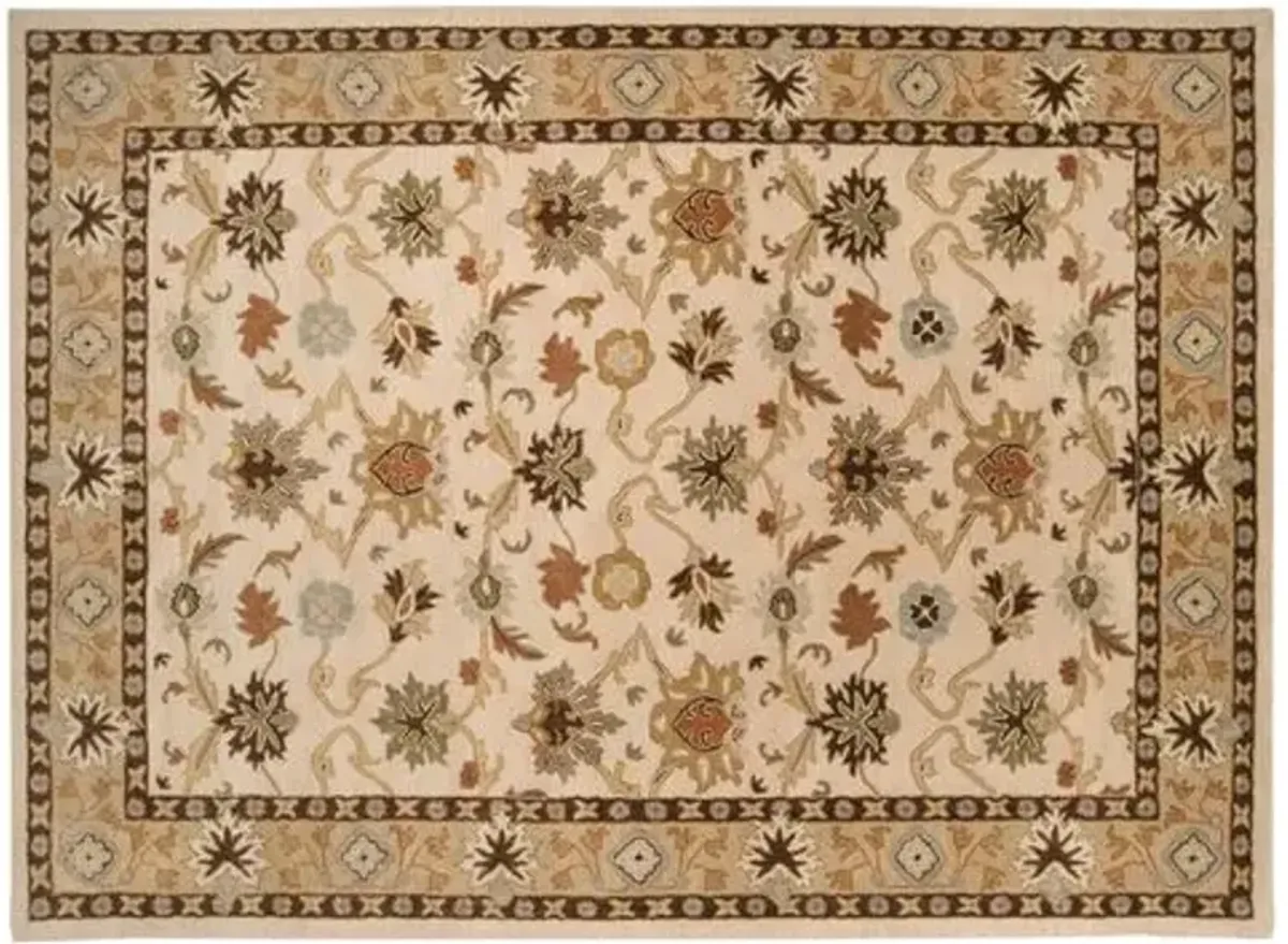 Scholar Rug - Desert Sand - Beige - Beige