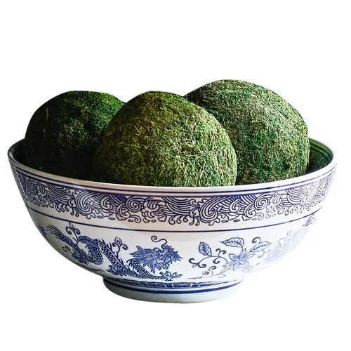 Set of 6 6" Moss Balls - Dried - Knud Nielsen Company - Green