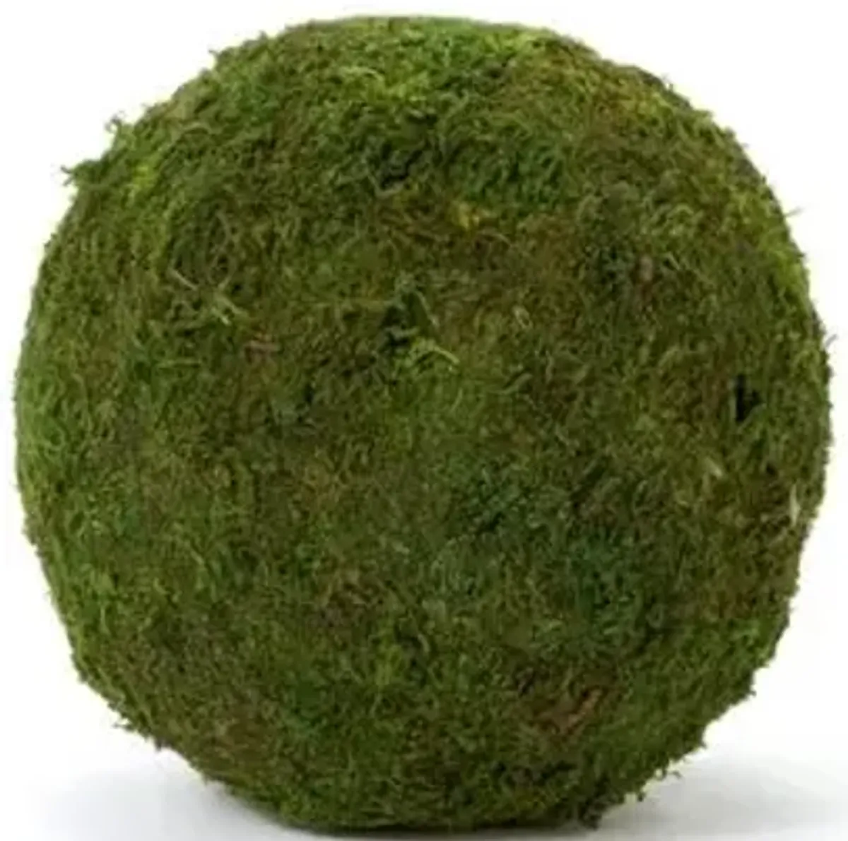 Set of 6 6" Moss Balls - Dried - Knud Nielsen Company - Green