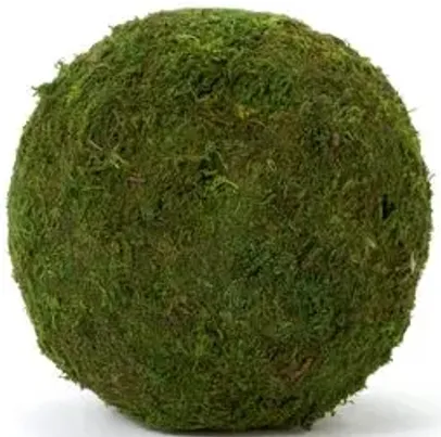 Set of 6 6" Moss Balls - Dried - Knud Nielsen Company - Green