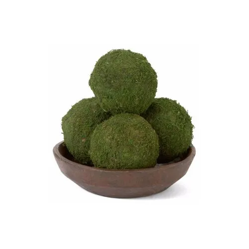 Set of 6 6" Moss Balls - Dried - Knud Nielsen Company - Green