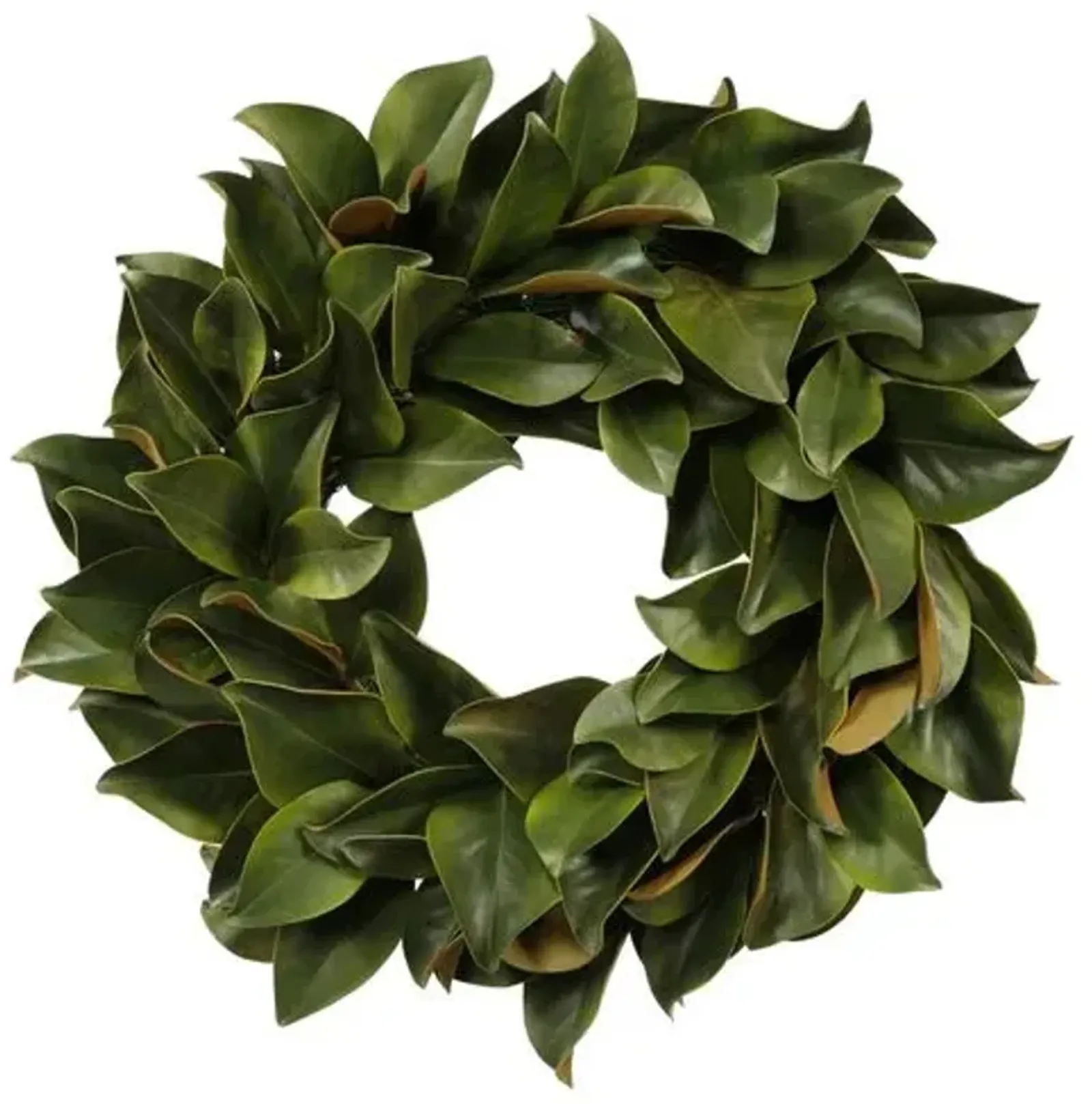 24" Magnolia Leaf Wreath - Faux - Green