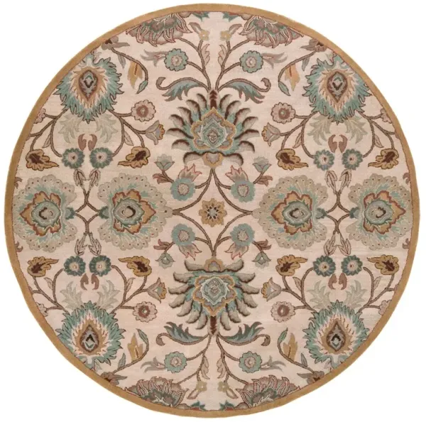 Corktree Rug - Taupe/Aqua - Gray - Gray