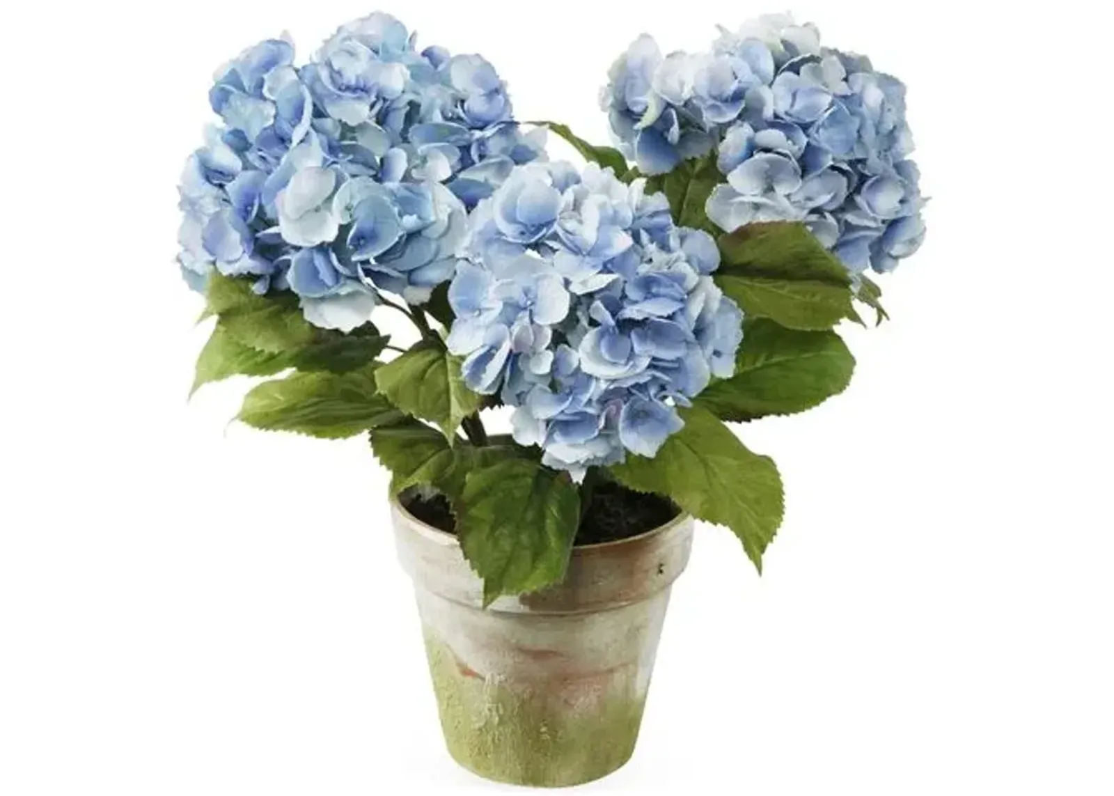 19" Hydrangeas in Pot - Faux - Blue