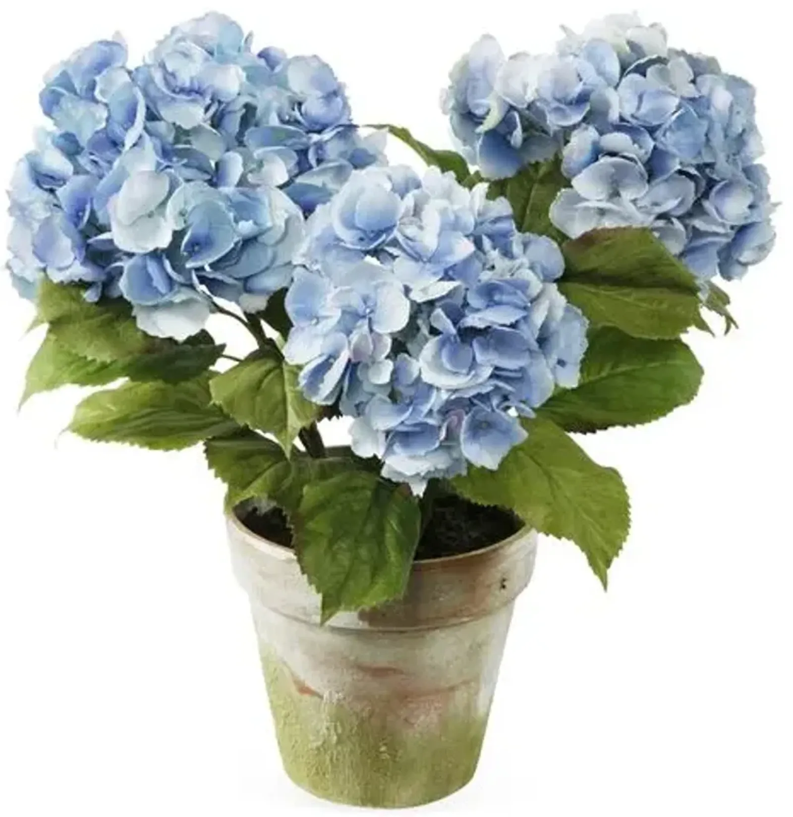 19" Hydrangeas in Pot - Faux - Blue