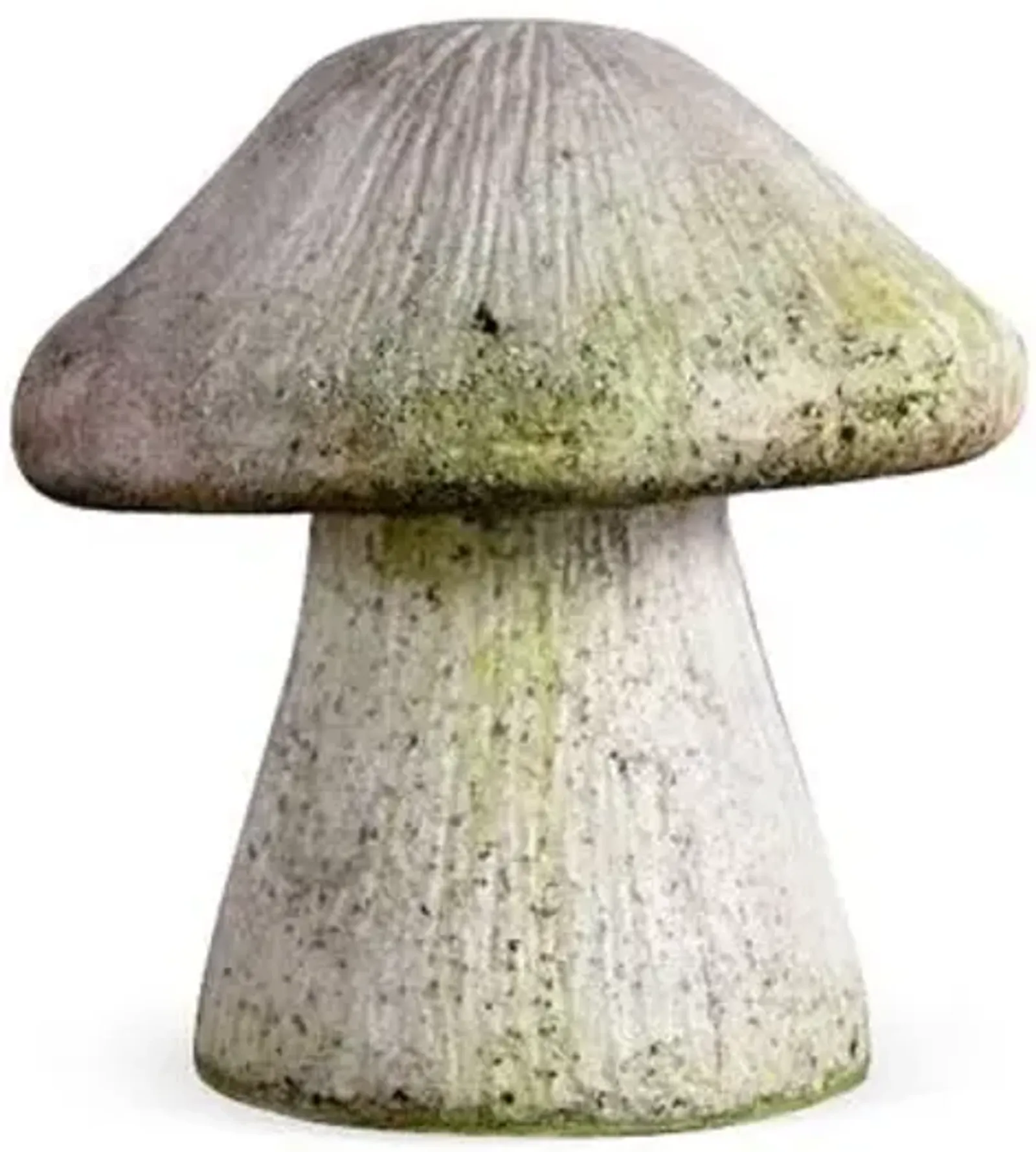 10" Wild Mushroom - White Moss - Beige