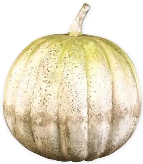 25" Pumpkin, White Moss