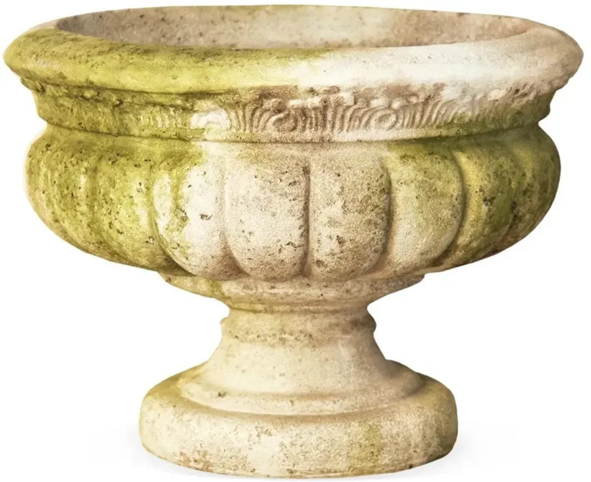 16" Windy Sand Fluted Urn, White Moss