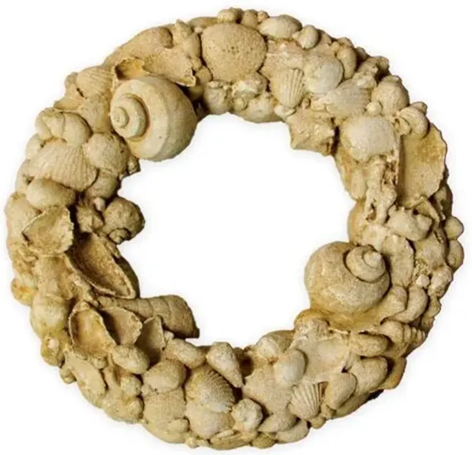 16" Shell Wreath - Beige