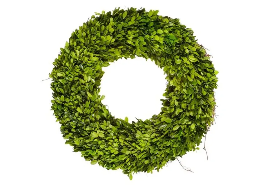 20" Boxwood Wreath - Preserved - Green