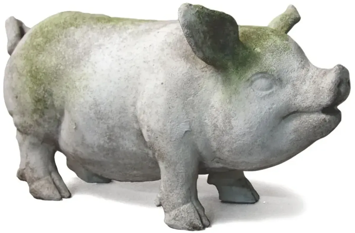 18" Pot Belly Pig, White Moss
