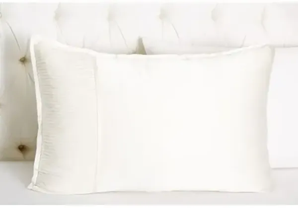 Set of 2 Chiffon Collection Shams - White - Kumi Kookoon