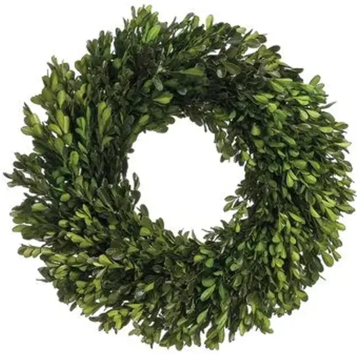 17" Boxwood Wreaths - Preserved - Black