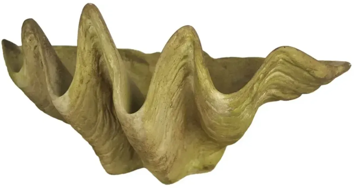 17" Clam Shell Planter, Green