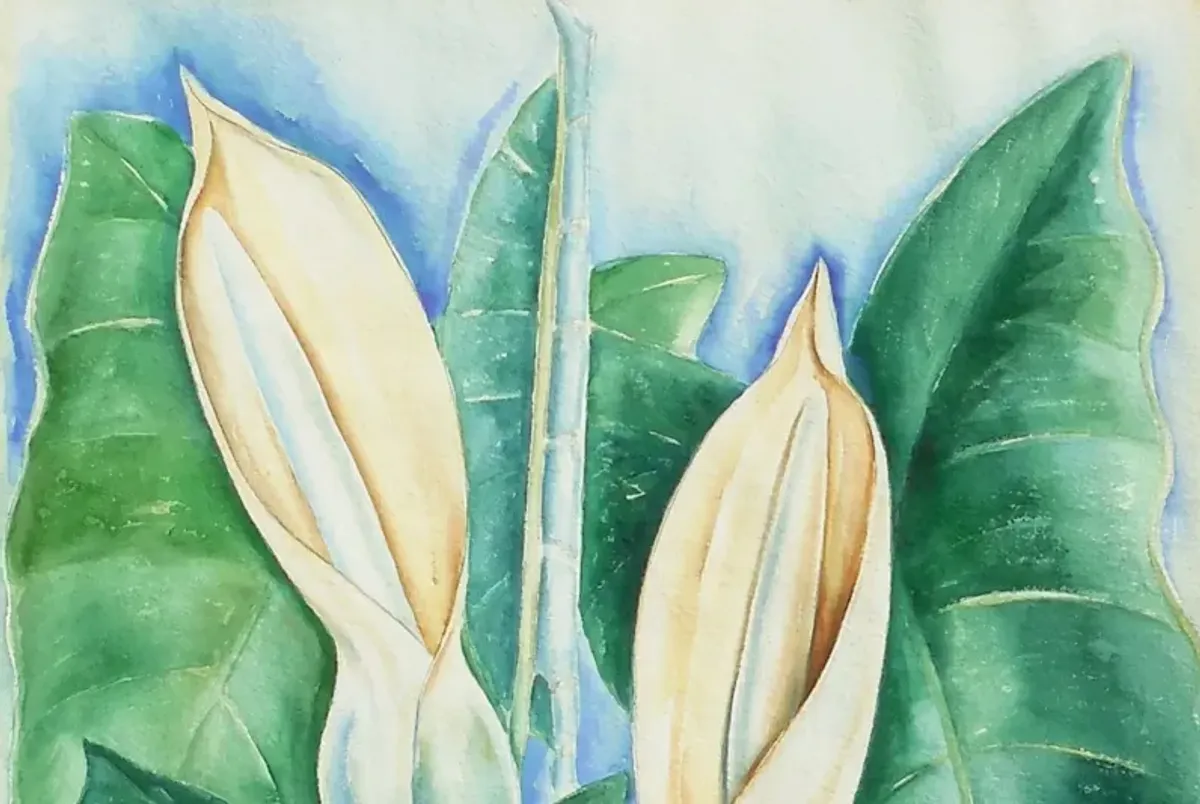 Still Life of Hawaiian Lilies,1975 - McNaught Fine Art - Ivory