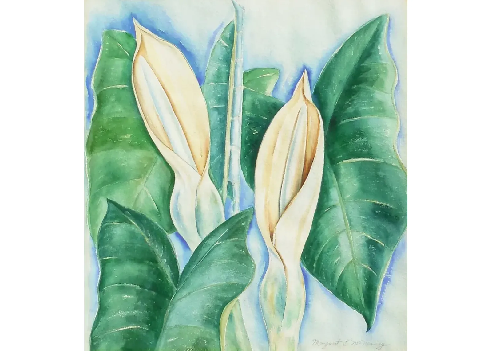 Still Life of Hawaiian Lilies,1975 - McNaught Fine Art - Ivory