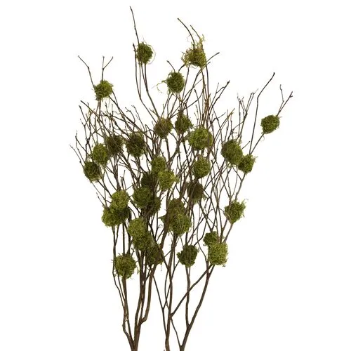Set of 4 Mountain-Laurel Branches - Dried - Knud Nielsen Company - Green