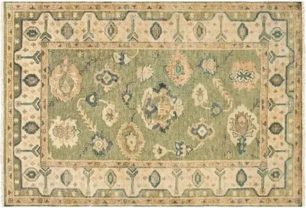 O'Connor Rug - Olive - Green - Green