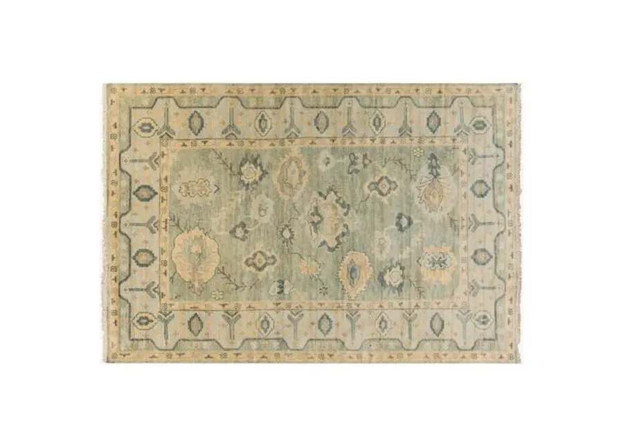 O'Connor Rug - Olive - Green - Green