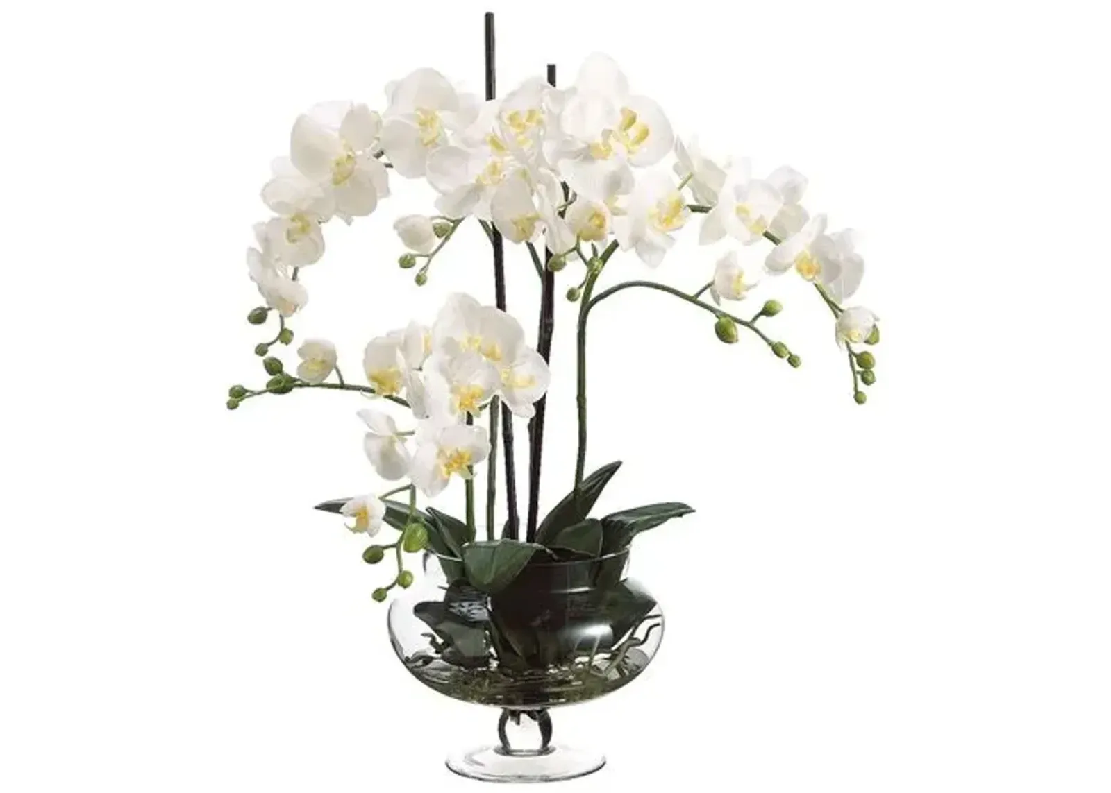 25" Phalaenopsis in Jar - Faux - Ivory