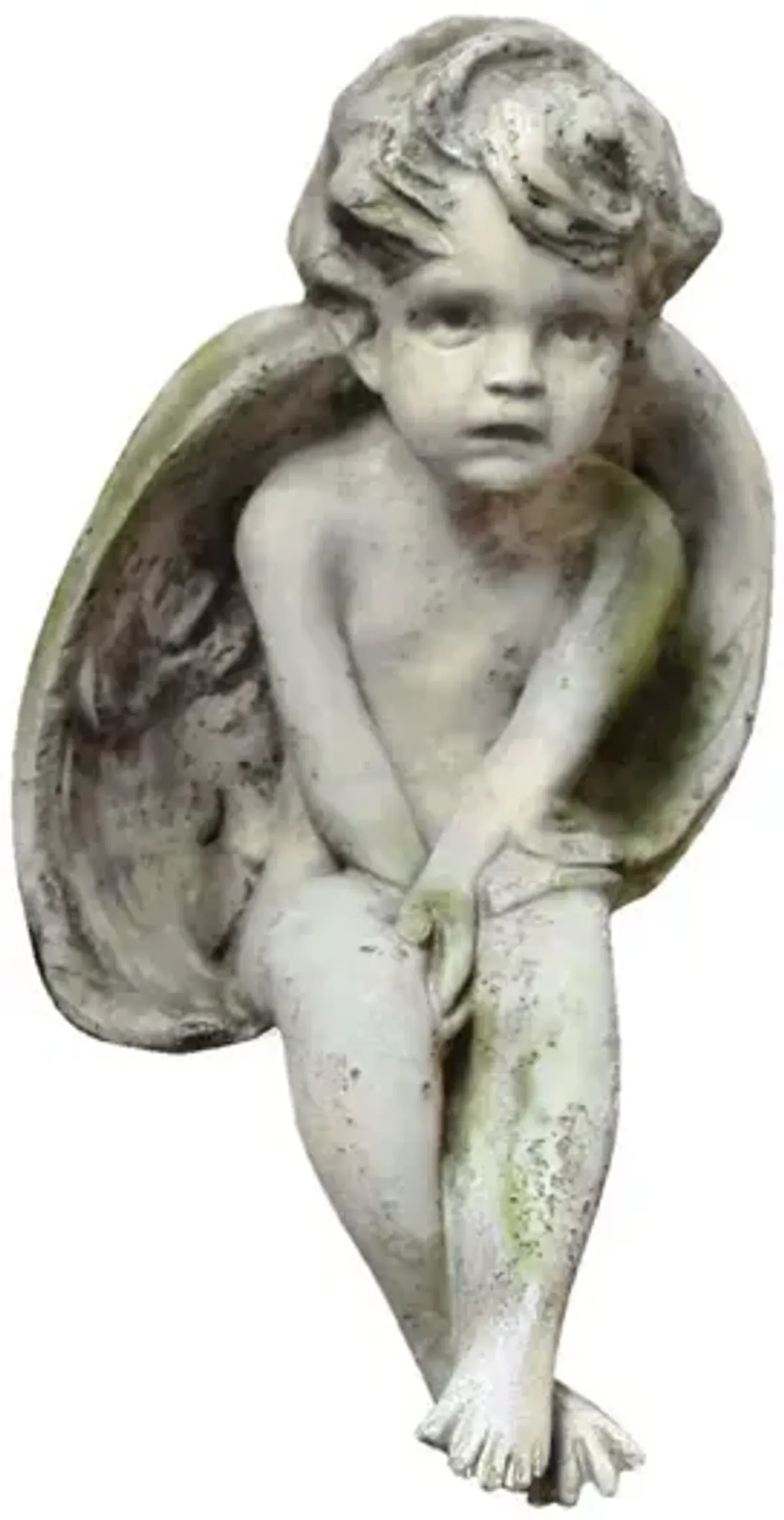 12" Meditation Cherub, White Moss
