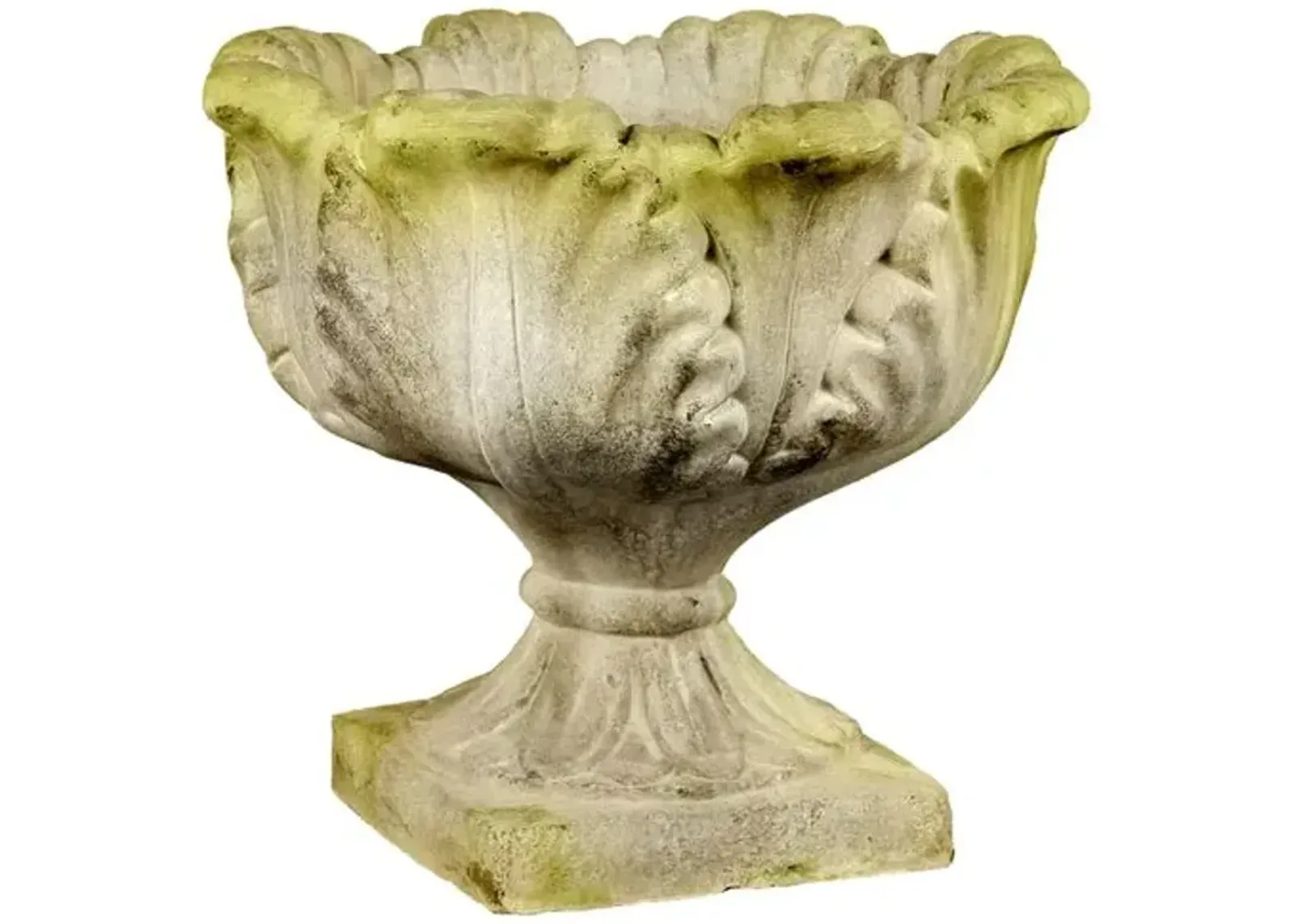 19" Acanthus Outdoor Planter - White Moss - Beige - 19" x 19" x 17"