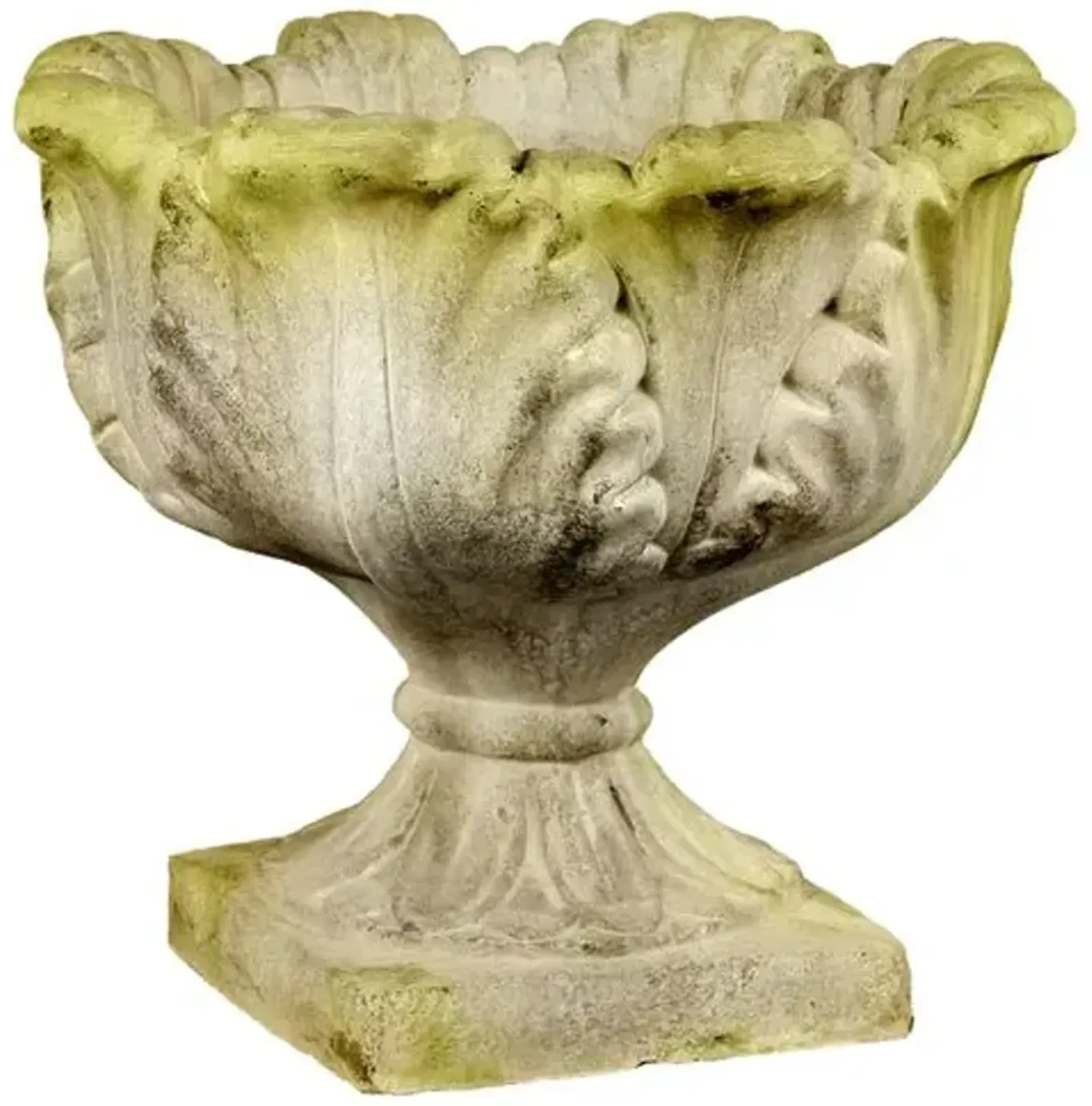 19" Acanthus Outdoor Planter - White Moss - Beige - 19" x 19" x 17"