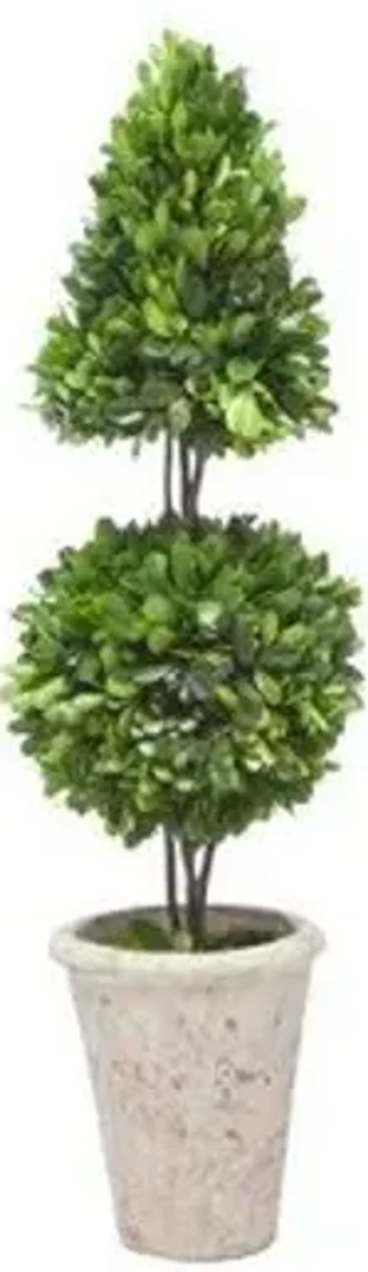 24" Boxwood Coneball in Planter - Faux - Green - 24"h