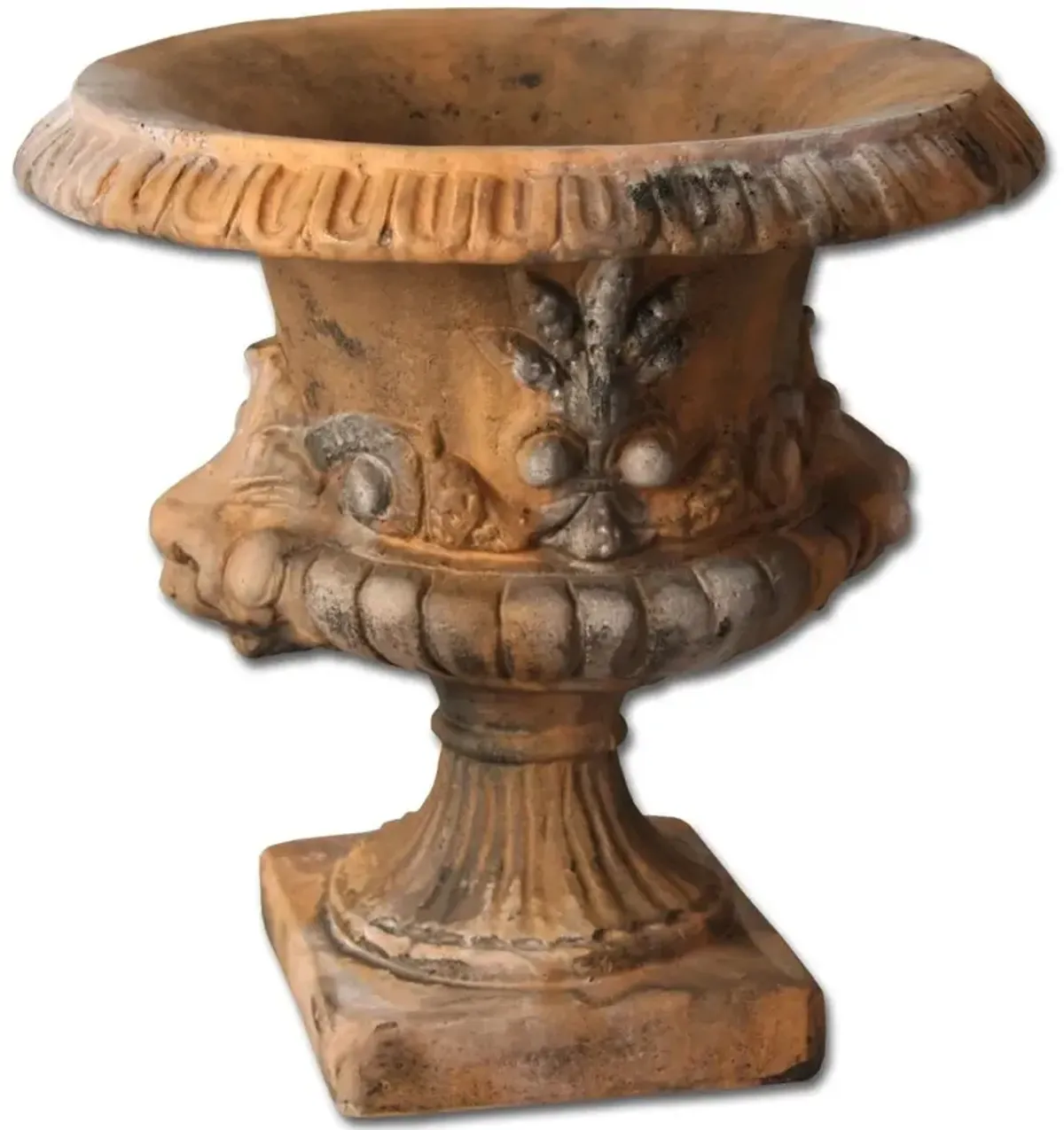 20" Atlantis Planter, Autumn Rose