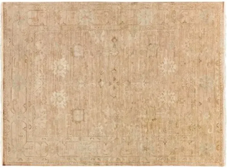 Alyssa Rug - Gold - Beige - Beige