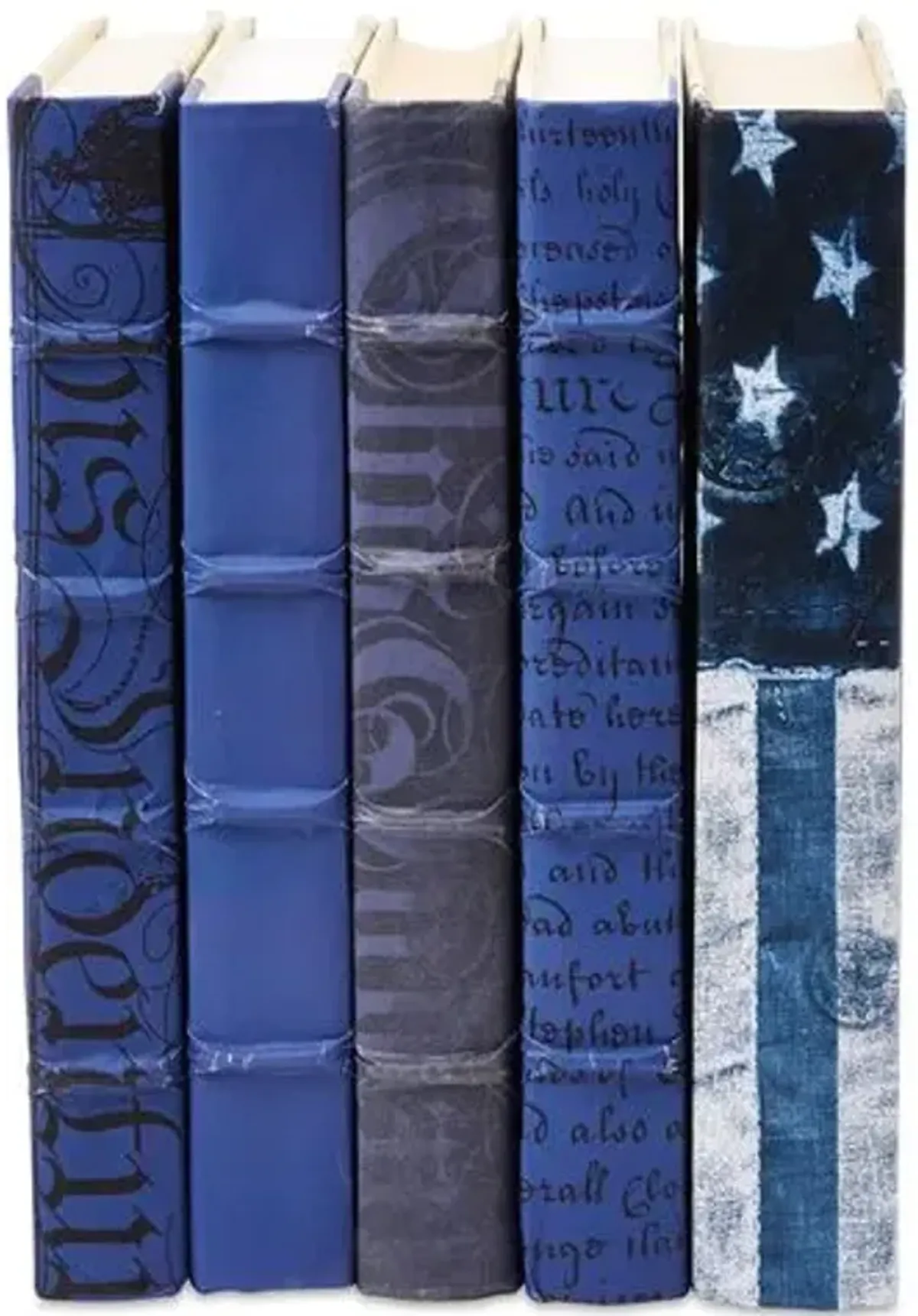 Set of 5 Designer Books - Dark Blue