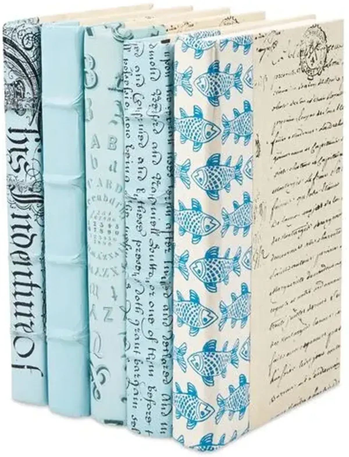 Set of 5 Designer Books - Light Blue