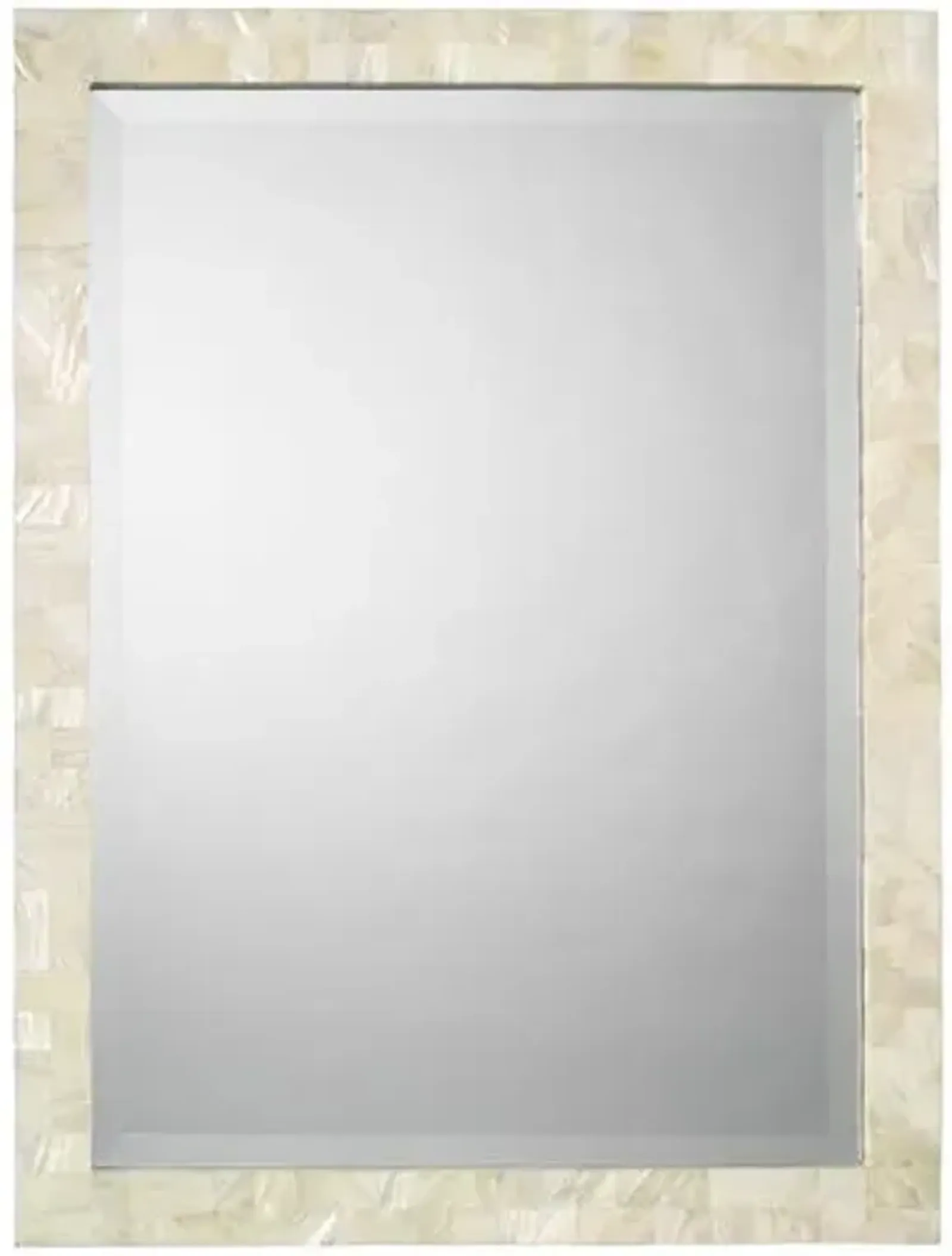 Liam Large Wall Mirror - Mother-of-Pearl - Jamie Young Co.