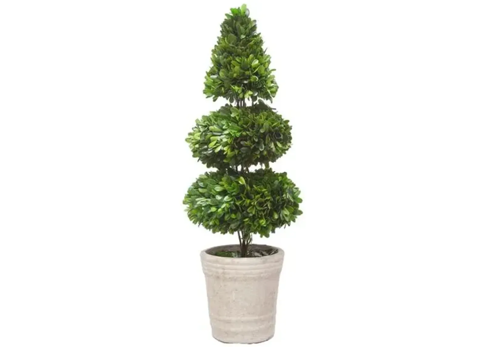 28" Rodeo Boxwood Topiary - Faux - Green