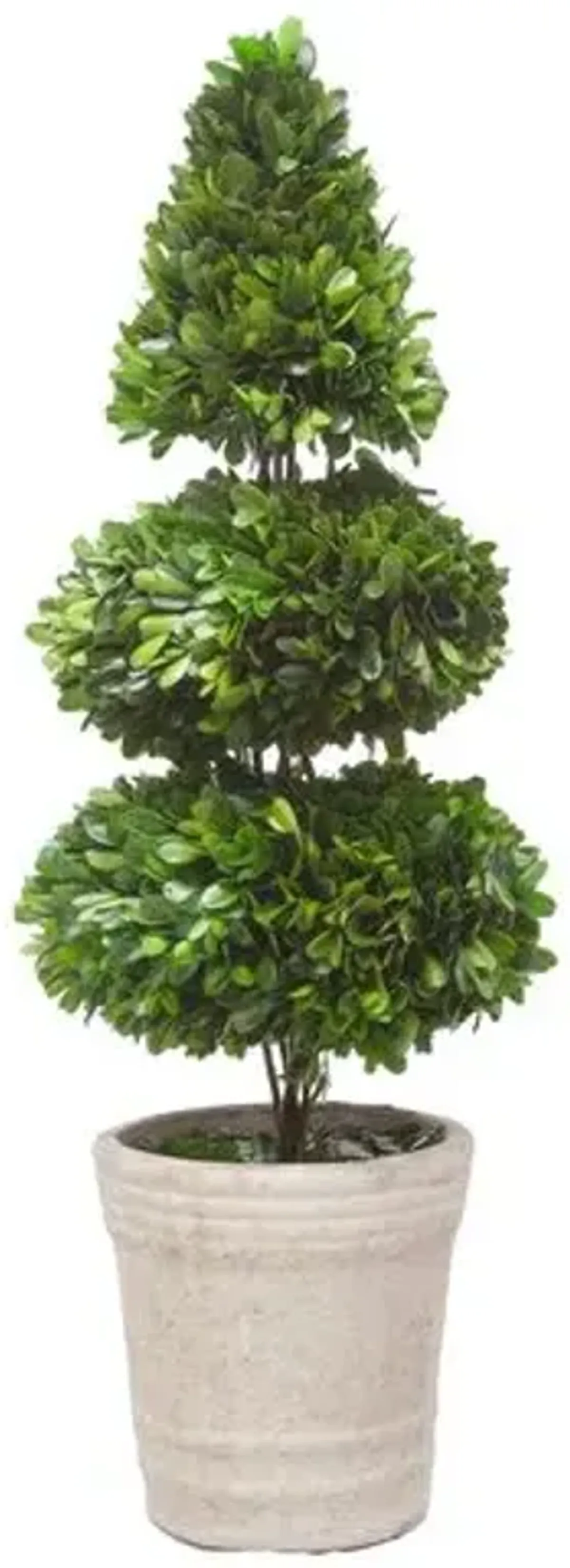 28" Rodeo Boxwood Topiary - Faux - Green