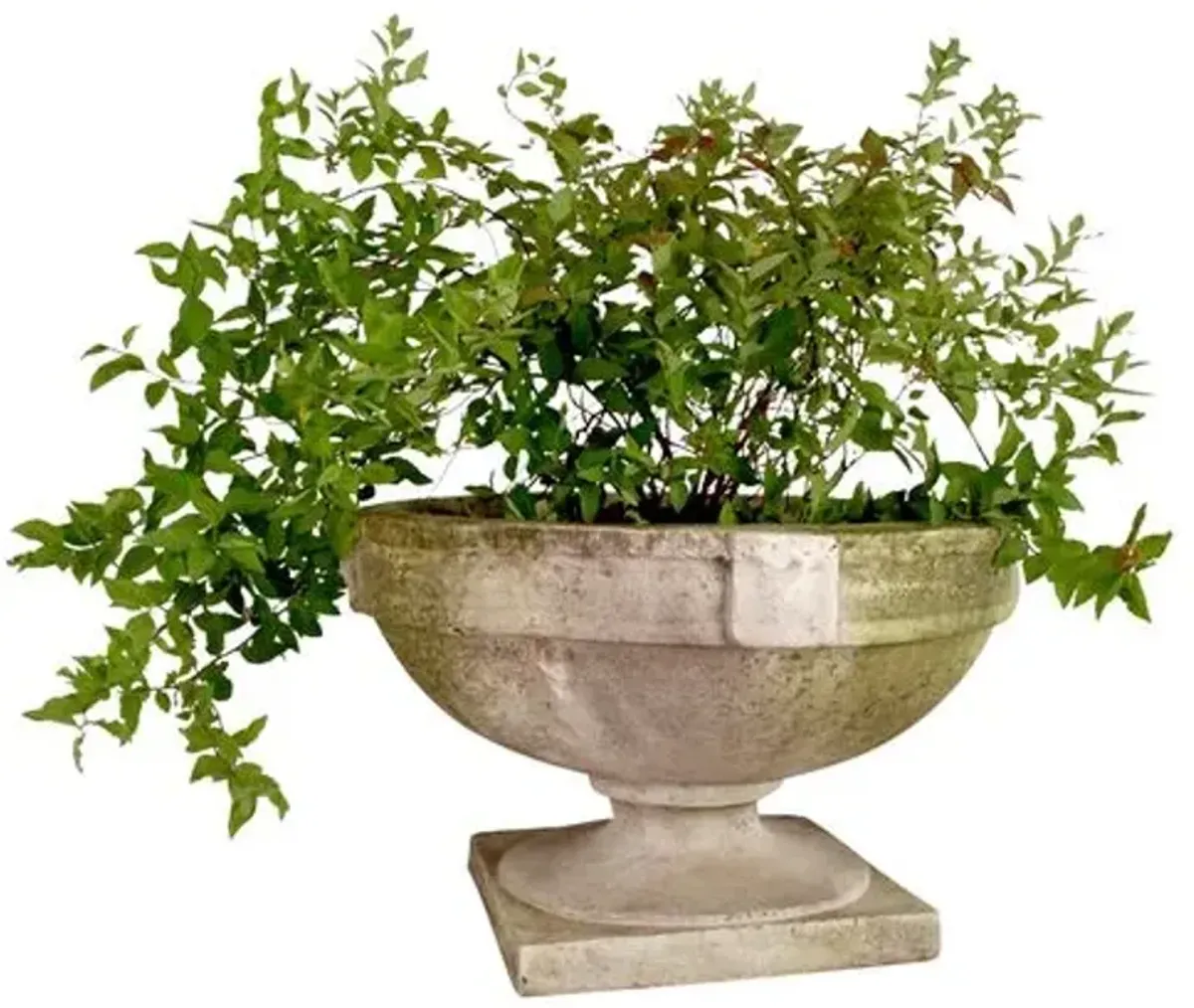 Smooth Strap Outdoor Urn - White Moss - Beige