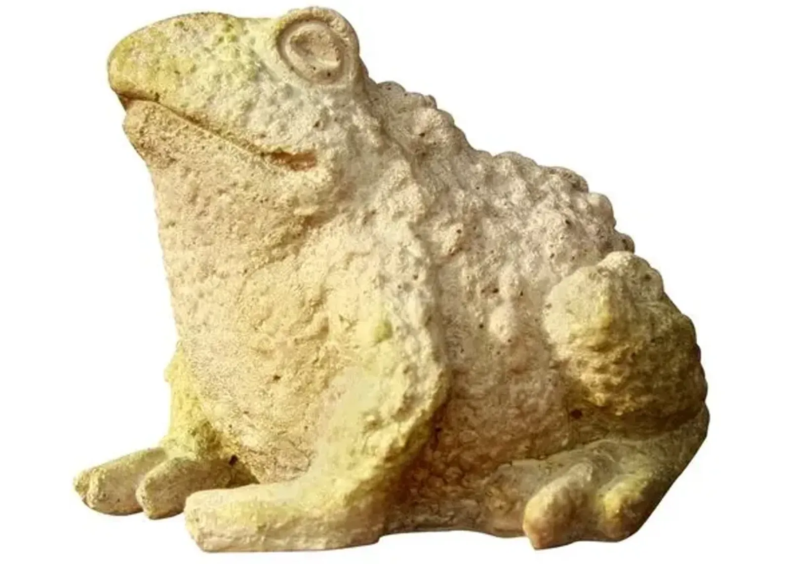 5.75" Croak Toad - White Moss - Beige