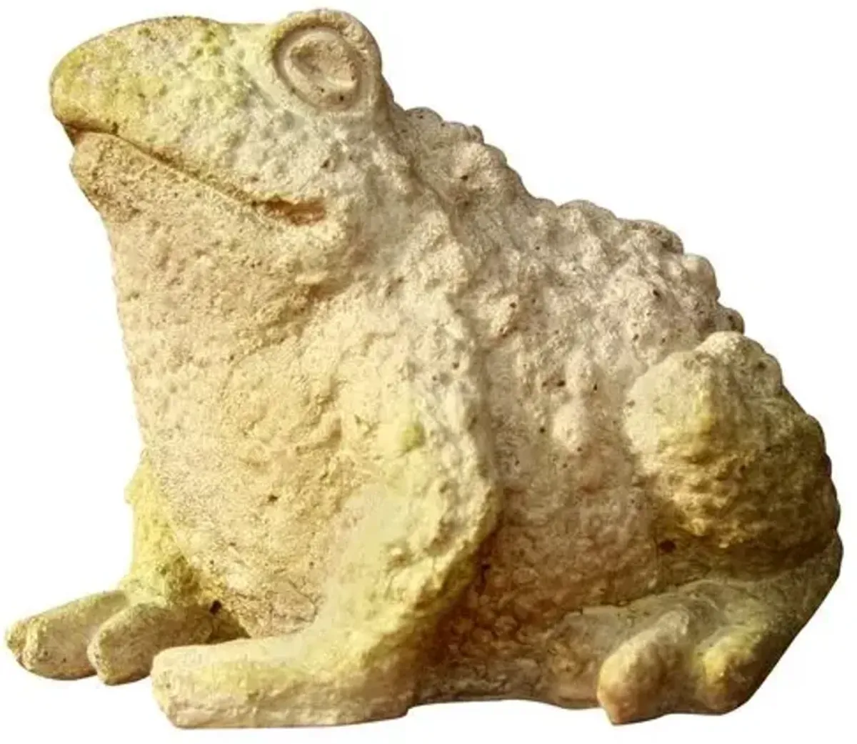 5.75" Croak Toad - White Moss - Beige