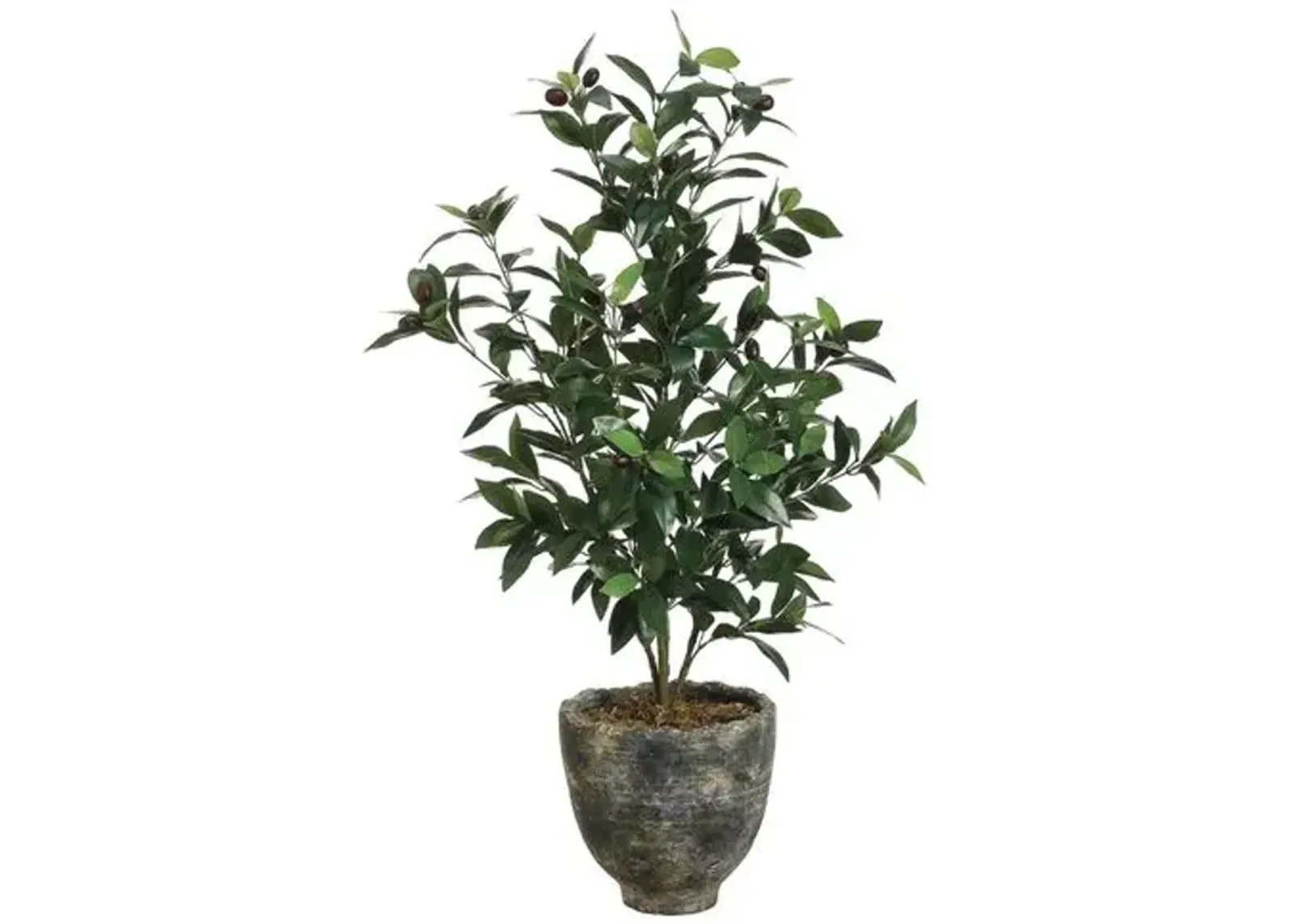 3' Olive Tree in Planter - Faux - Green - 22"l x 22"w x 36"h