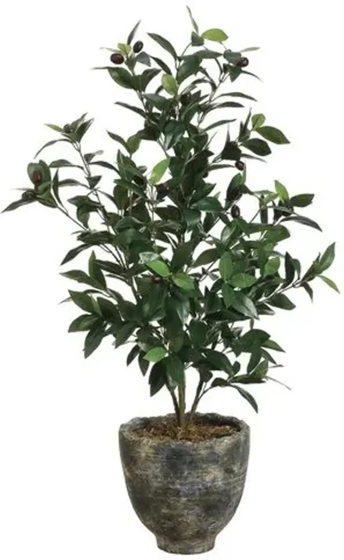 3' Olive Tree in Planter - Faux - Green - 22"l x 22"w x 36"h