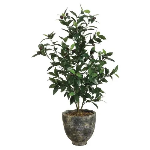 3' Olive Tree in Planter - Faux - Green - 22"l x 22"w x 36"h