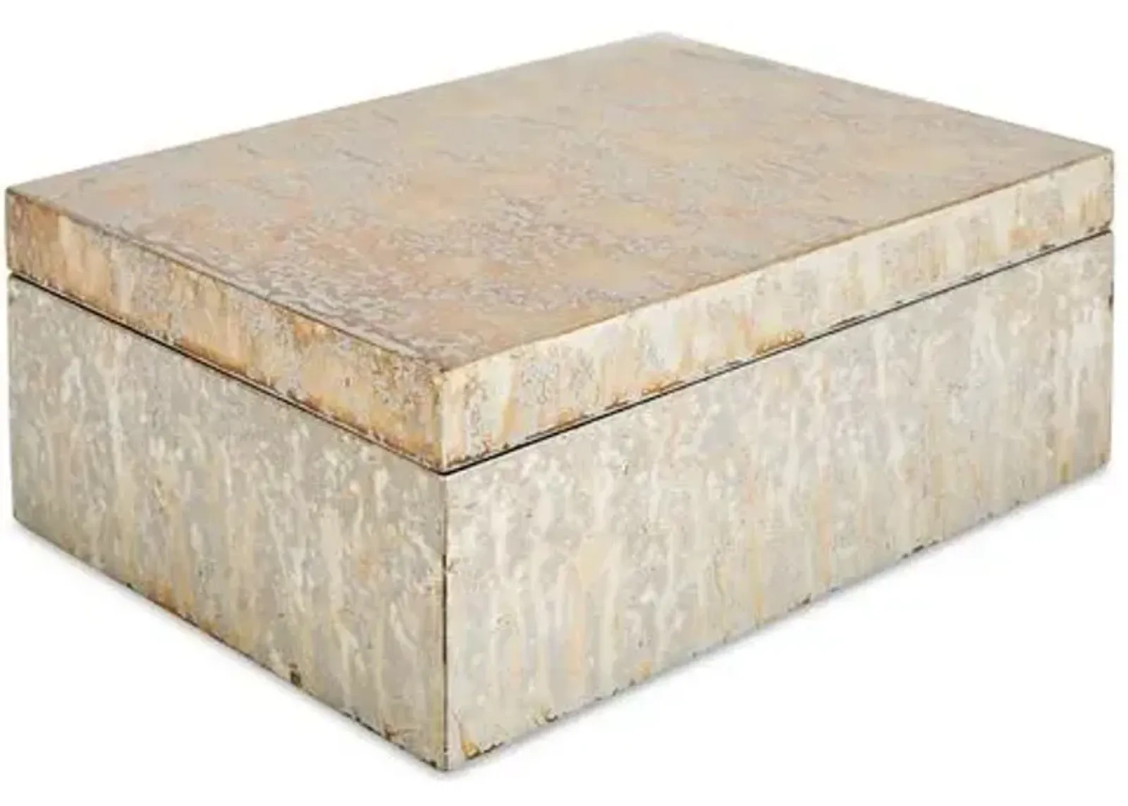 Silver Leaf Box - Champagne - Large - Global Views - Gold